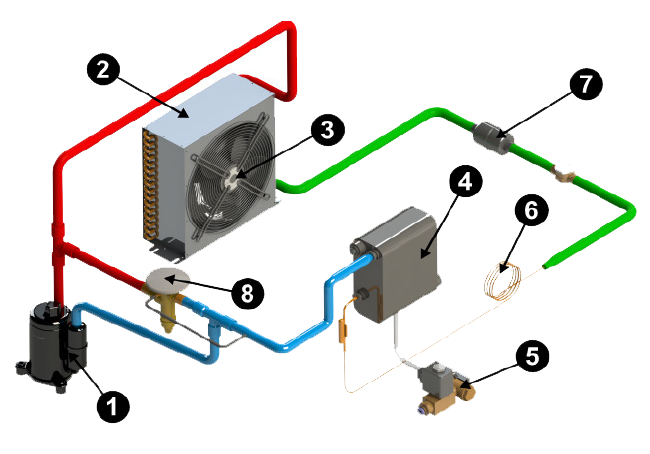 CIRCUIT